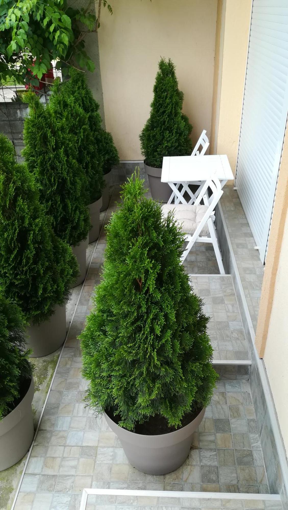 M4U Apartments Ni Kültér fotó