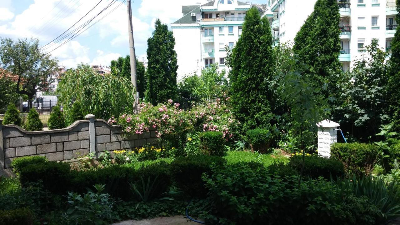 M4U Apartments Ni Kültér fotó